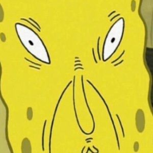 Meet your Posher, Jake